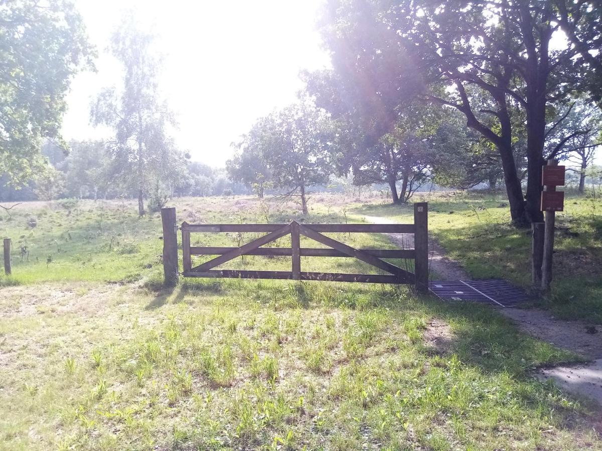 Willa Rikobravo Meppen Zewnętrze zdjęcie